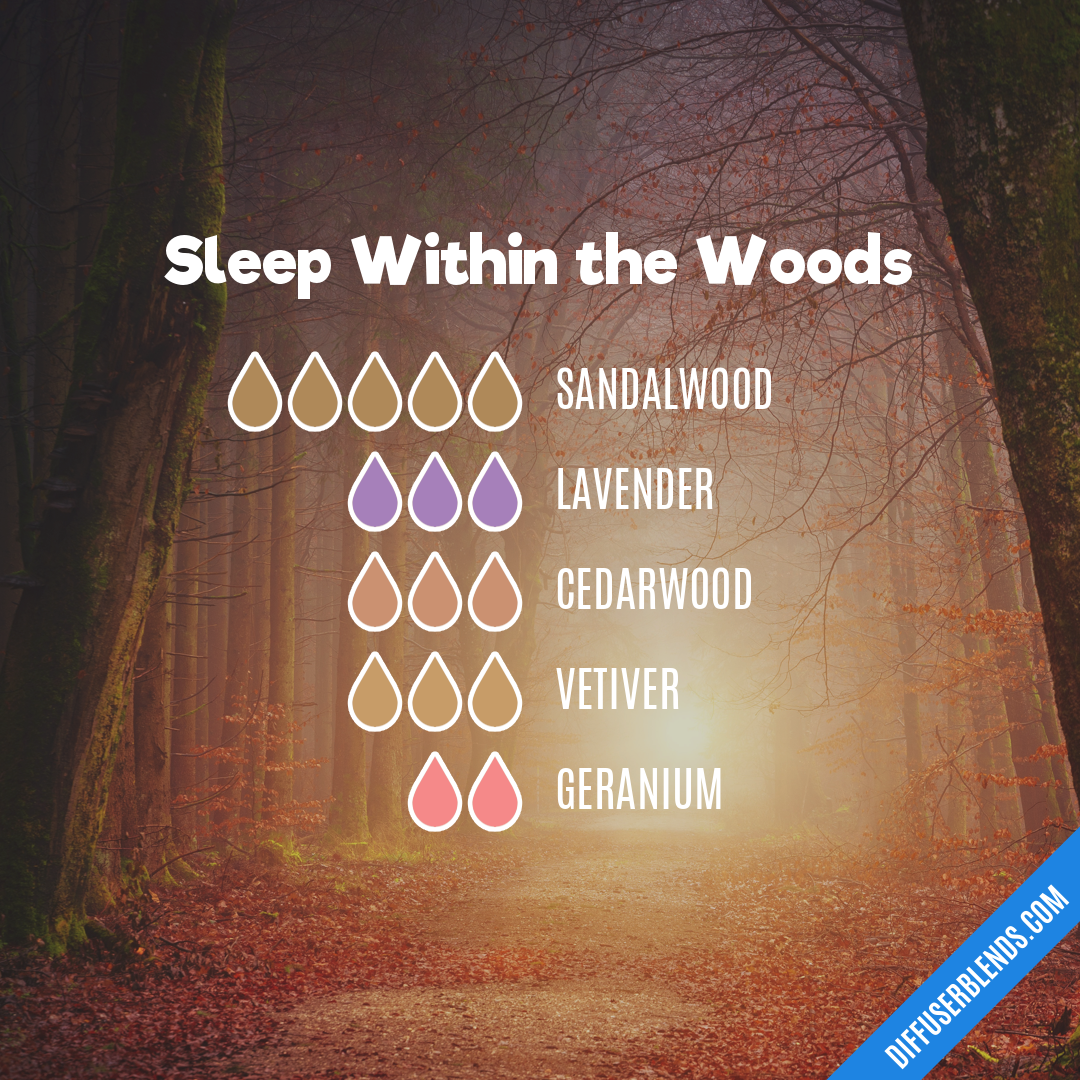 Sleep in the Woods | DiffuserBlends.com Sleep in the Woods | DiffuserBlends.com