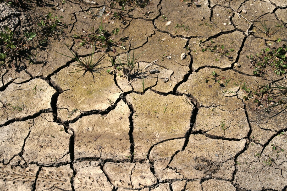 Free Images : desert, floor, land, asphalt, soil, gray, disaster, event ... Free Images : desert, floor, land, asphalt, soil, gray, disaster, event ...